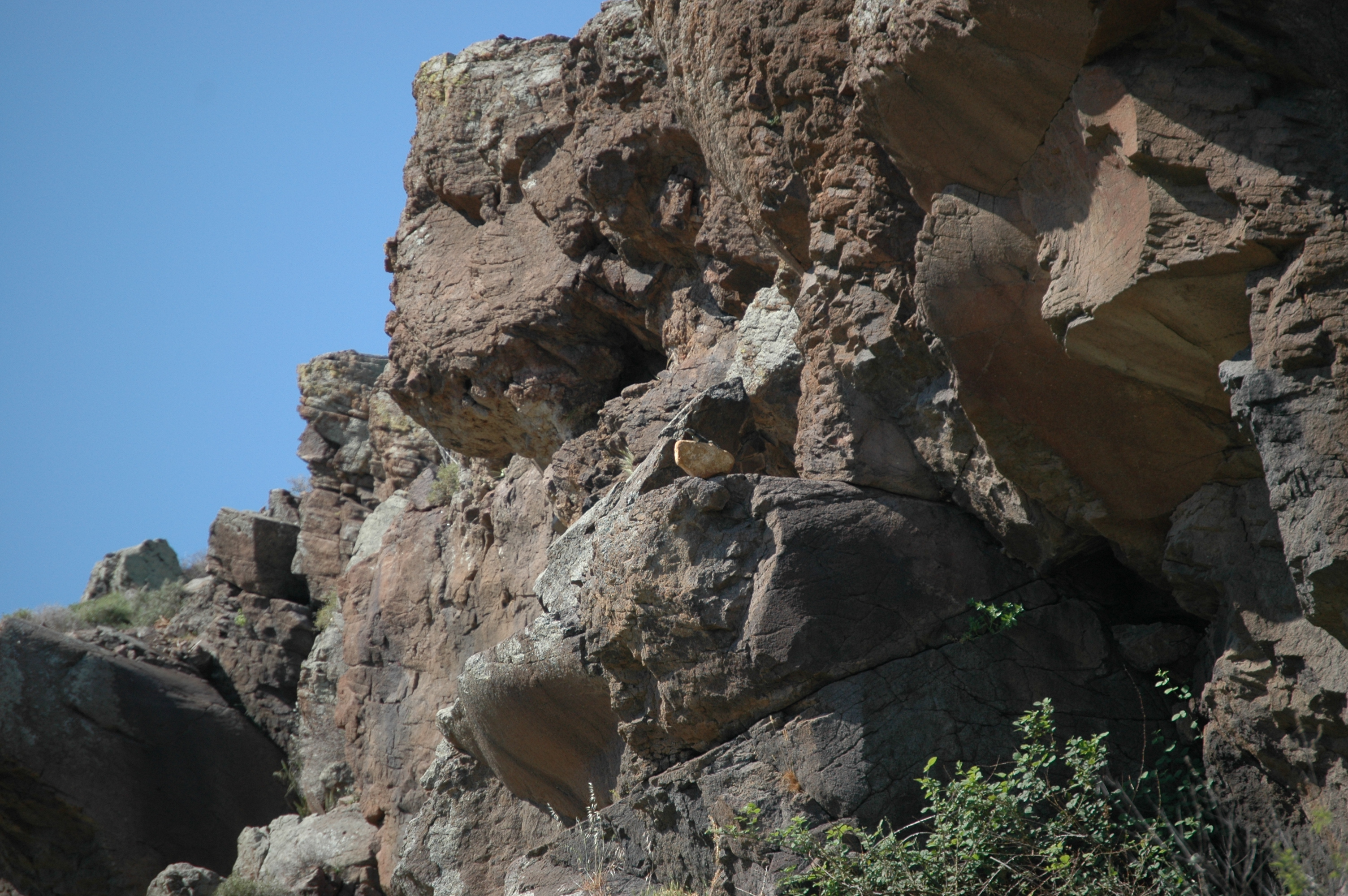 photos/wildlife/Reptile_Species/Lesvos 2006 0208.JPG